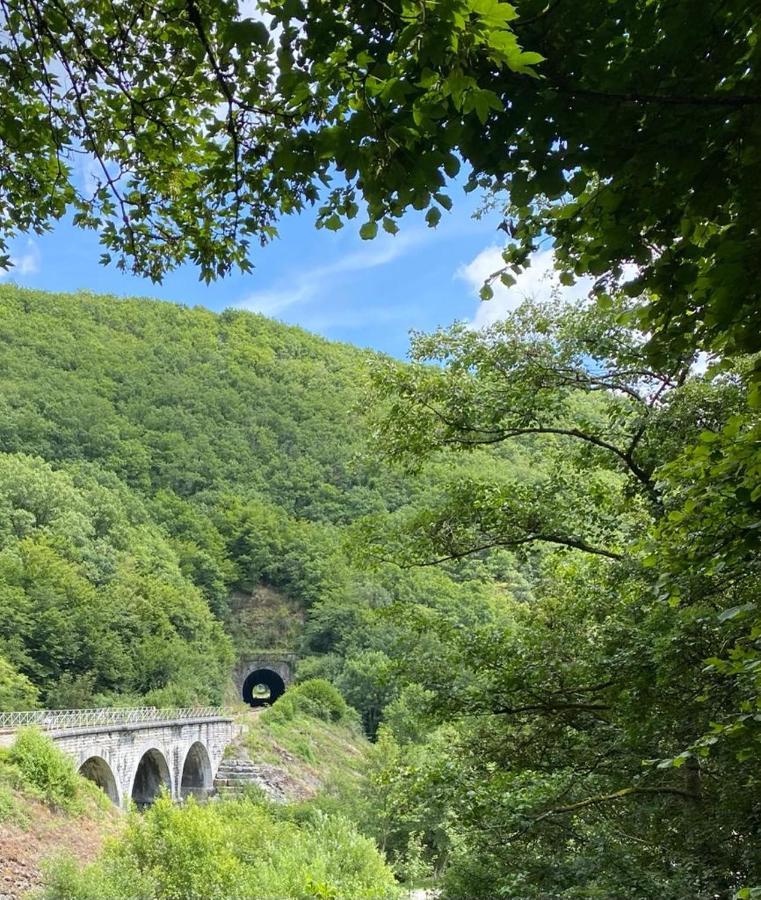 Cocooning Near Dinant 300M From River Meuse Blaimont Εξωτερικό φωτογραφία